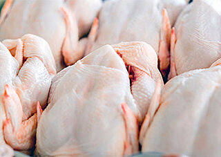 The picture shows fresh chicken meat