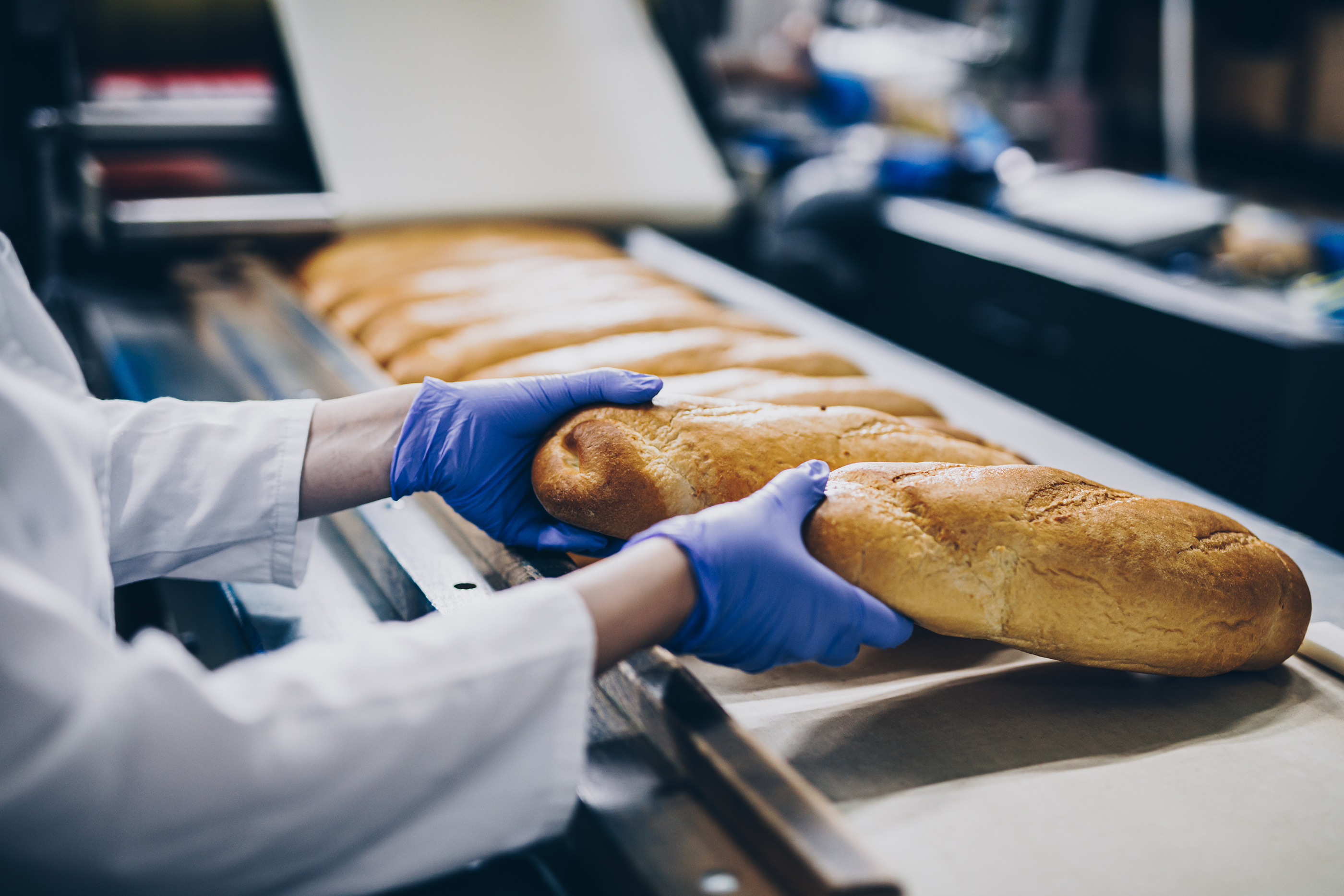 machine bread production